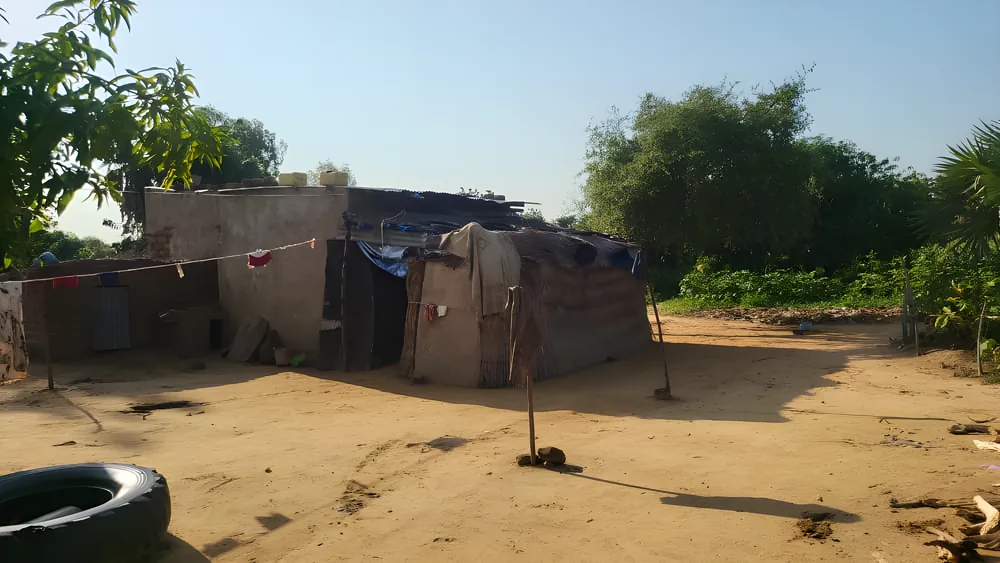 Mud-brick homes in a village under a clear sky